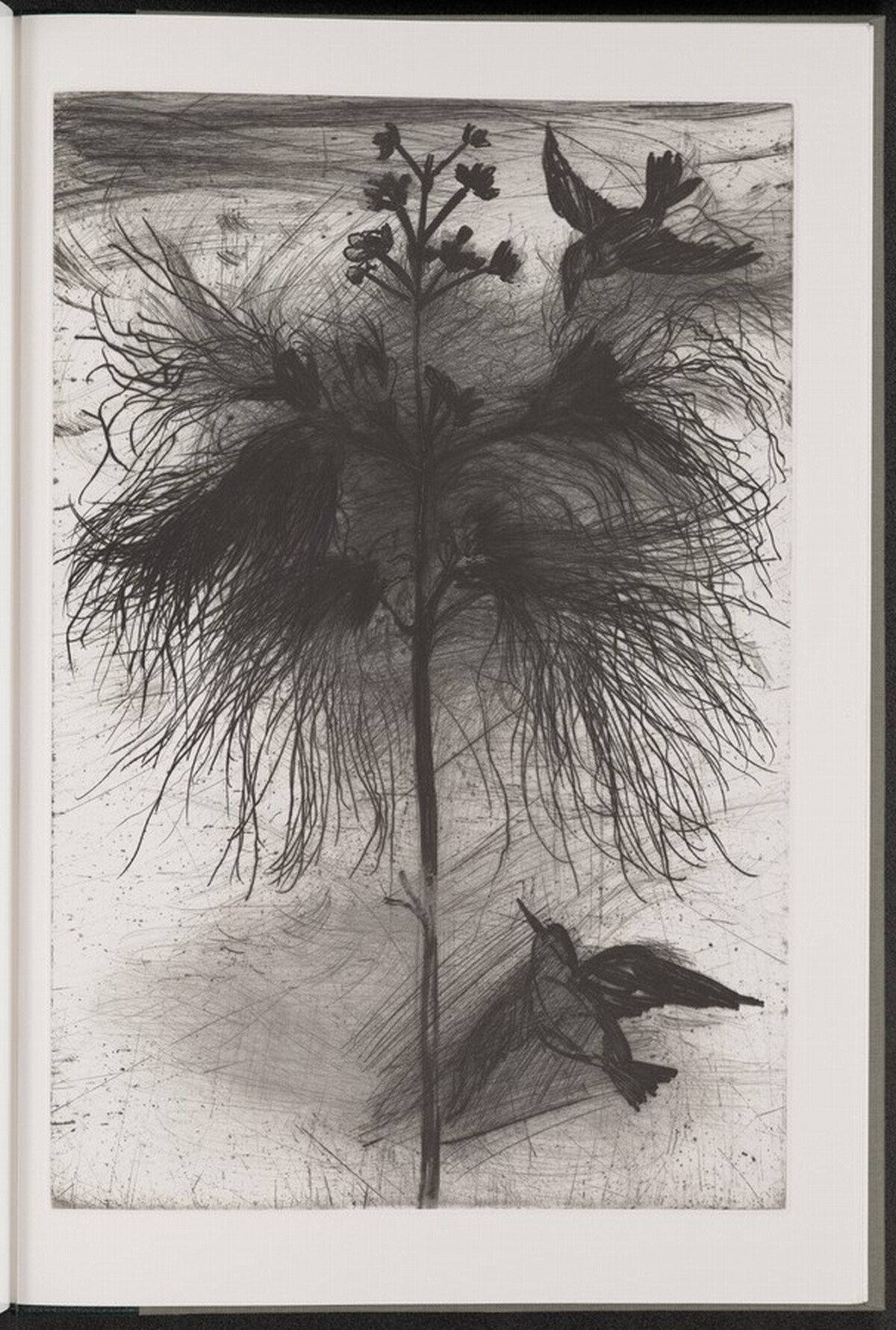 Powder-Puff Tree by Jim Dine