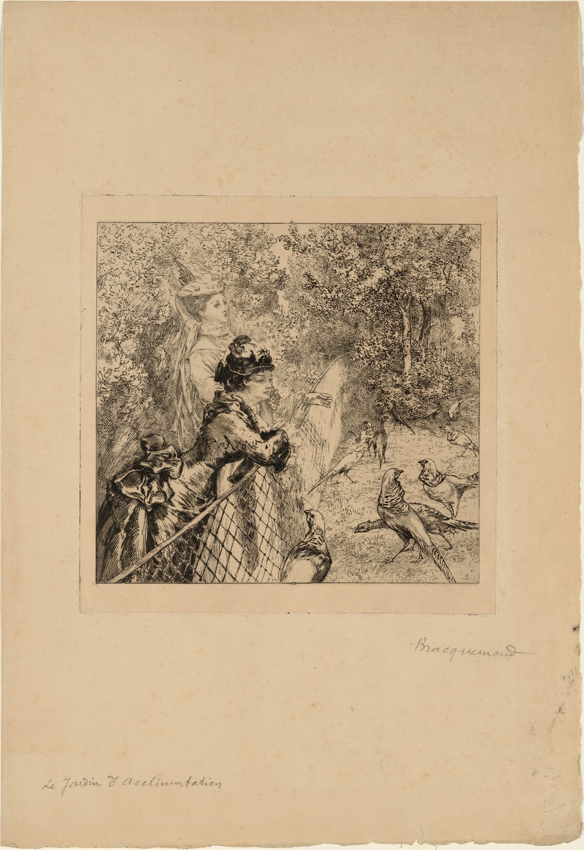 Au Jardin d'Acclimatation (In the Zoological Garden) by Félix Bracquemond