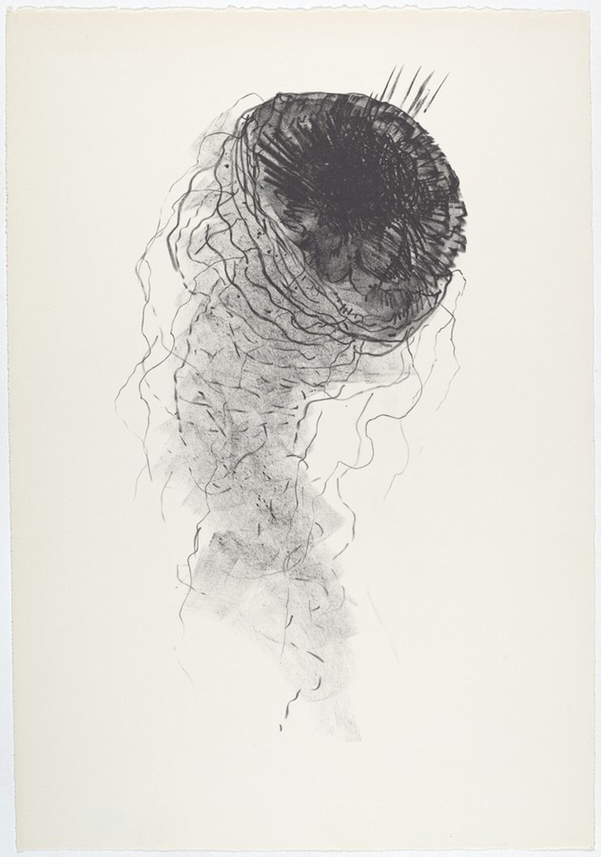 JELLY FISH by Bruce Conner