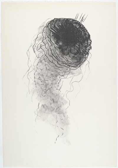 JELLY FISH