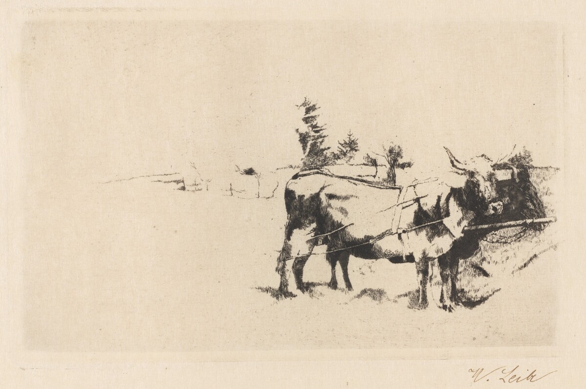 Team of Oxen in Harness by Wilhelm Leibl
