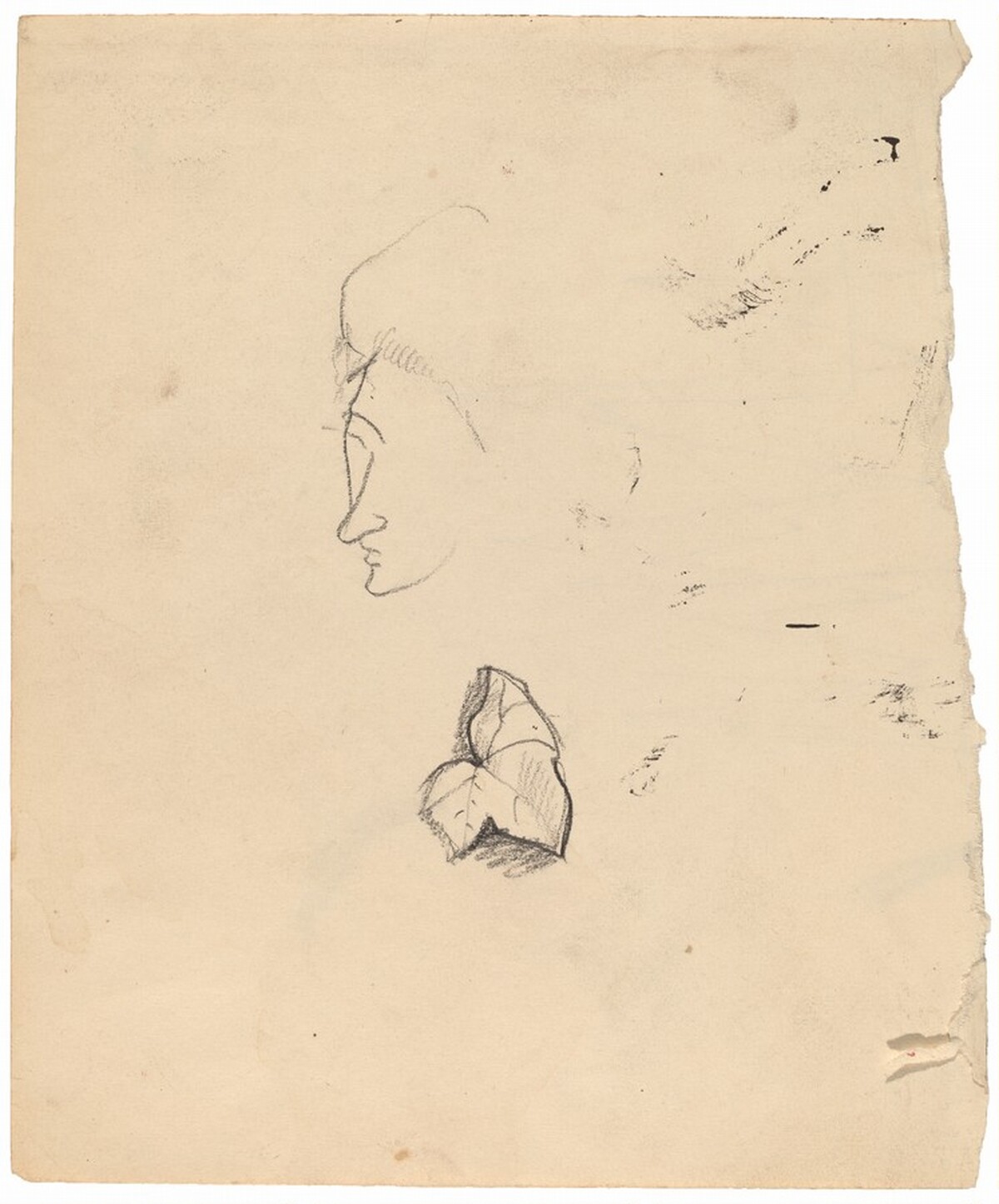 Sketch of a Woman's Face and a Leaf [recto] by Mark Rothko