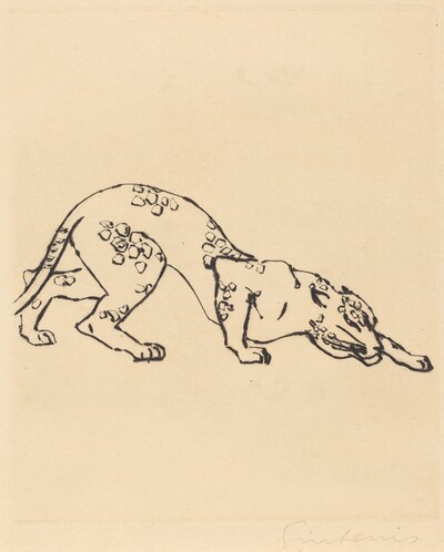 Leopard