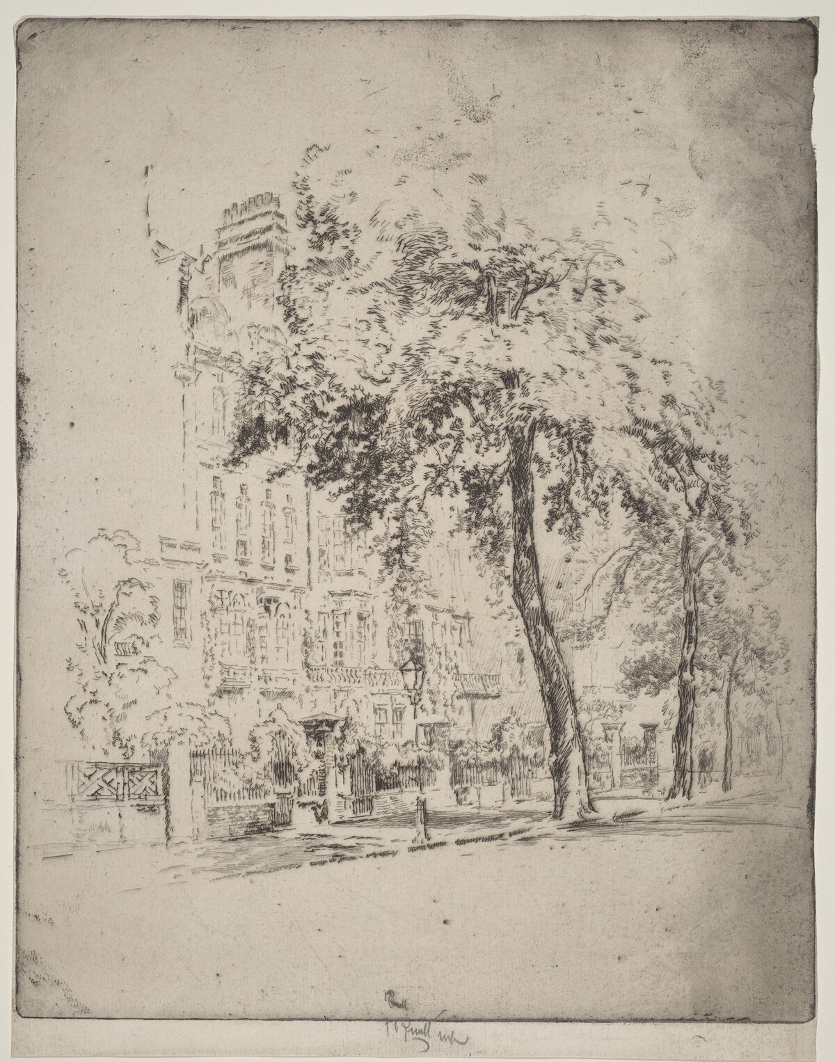 Big Tree, Cheyne Walk by Joseph Pennell