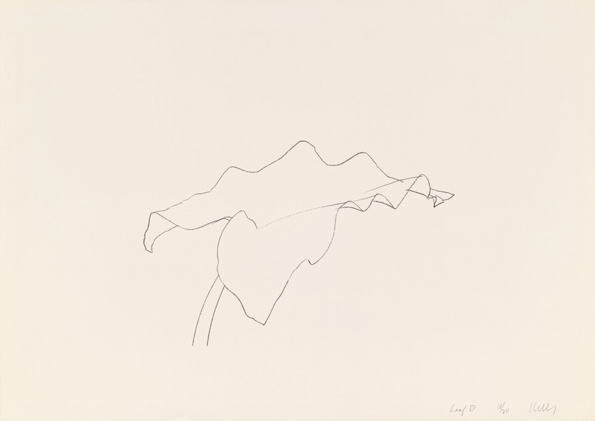 Leaf VII by Ellsworth Kelly