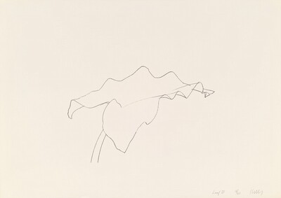 Leaf VII