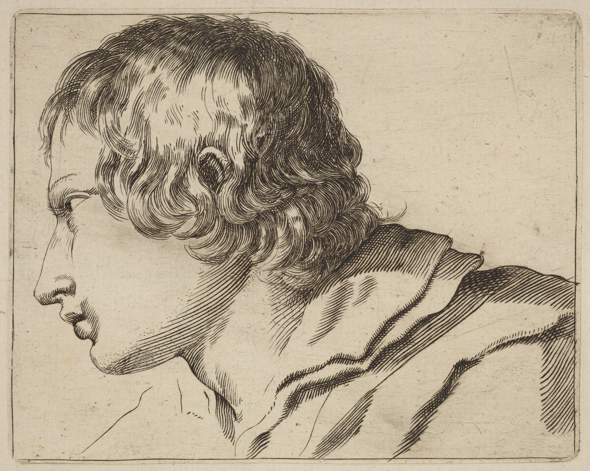 Head of a Man Turned Left by Stefano Della Bella