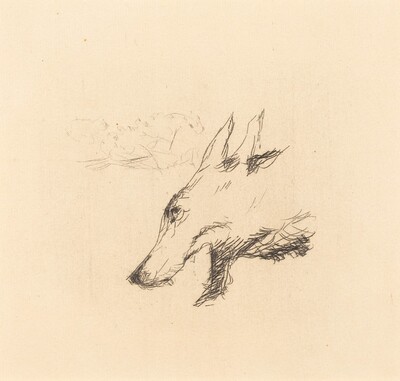 Dingo: Title Page