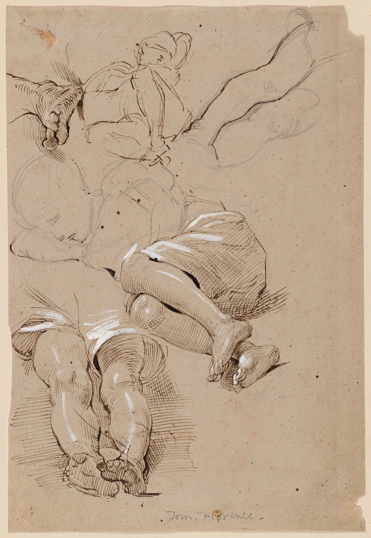 Tom -- Florence by George Richmond