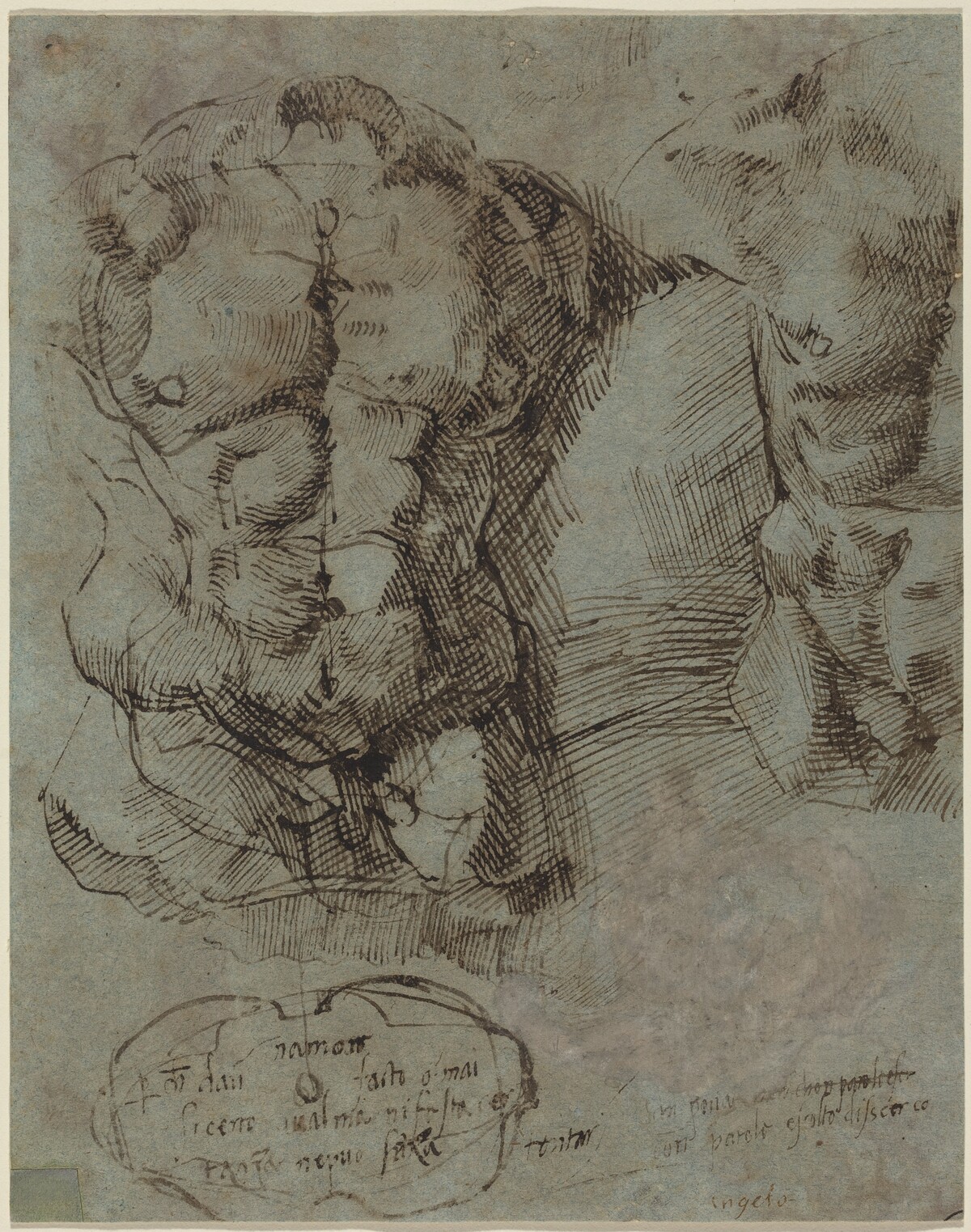Studies of a Male Torso by Italian 16th Century