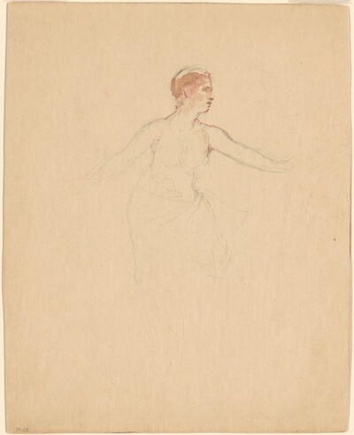 Female Torso