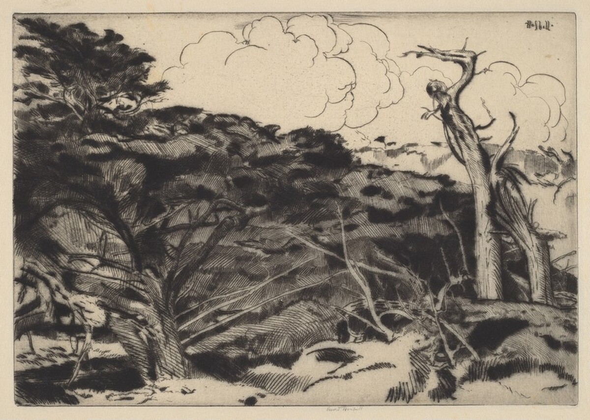 Dragons by Ernest Haskell