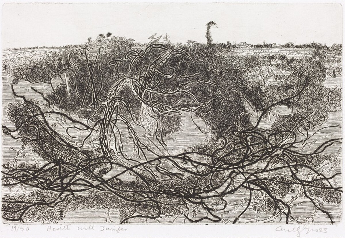 Heath with Junipers by Anthony Gross