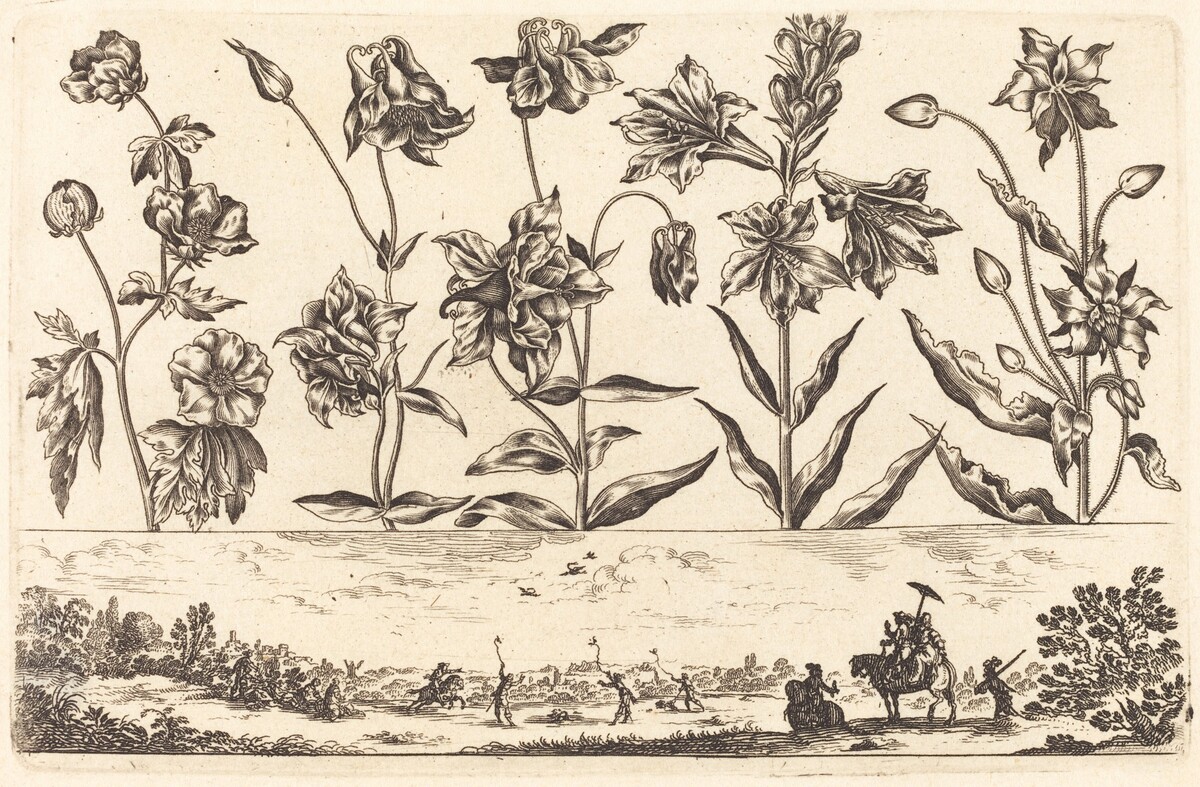 Flower Print no.6 by Nicolas Cochin after Balthasar Moncornet