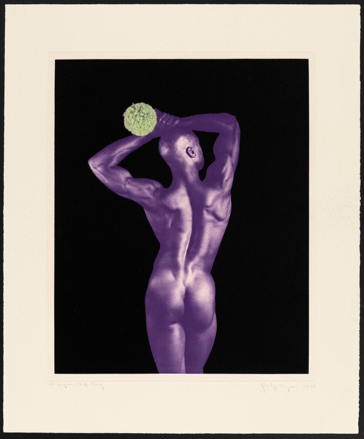 Untitled #5 by Robert Mapplethorpe