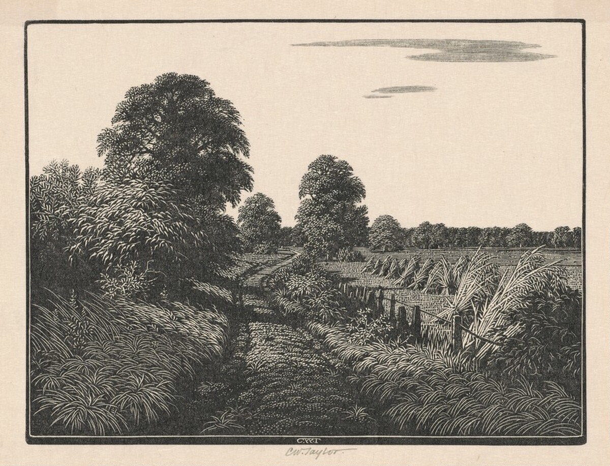 Danny Park by Charles William Taylor