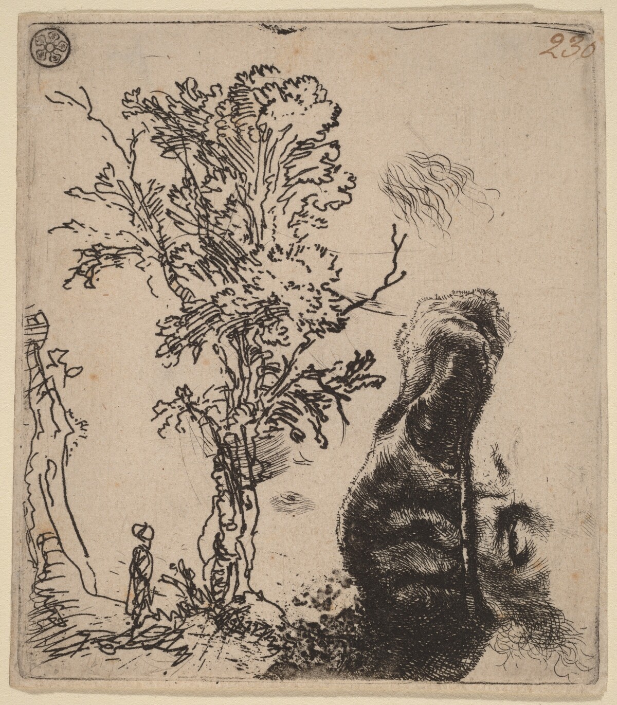 Sheet with Two Studies:  a Tree, and the Upper Part of a Head of the Artist Wearing a Velvet Cap by Rembrandt van Rijn