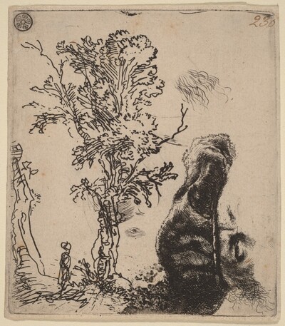 Sheet with Two Studies:  a Tree, and the Upper Part of a Head of the Artist Wearing a Velvet Cap
