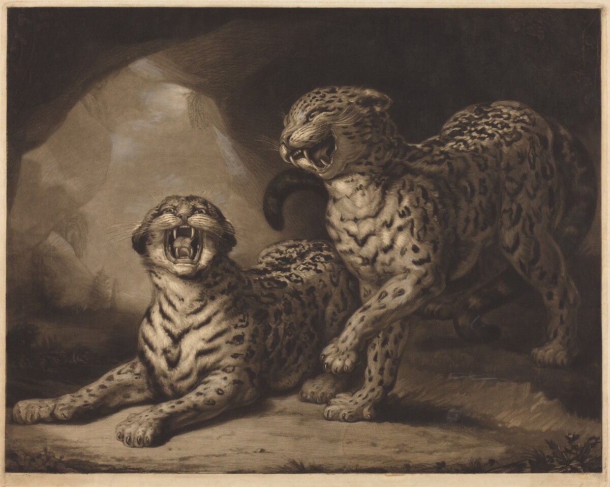 Leopards by Samuel William Reynolds I after James Northcote