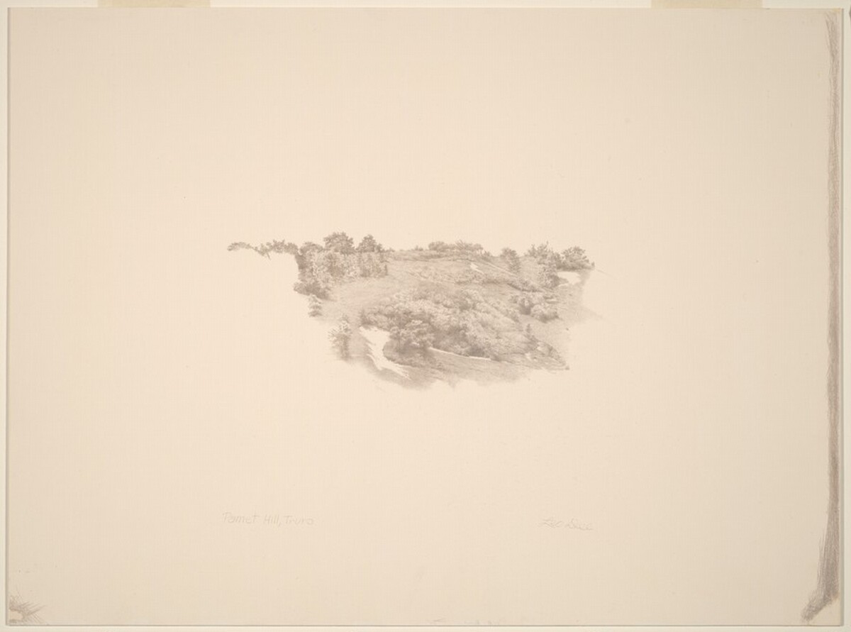 Pamet Hill, Truro by Leo Dee