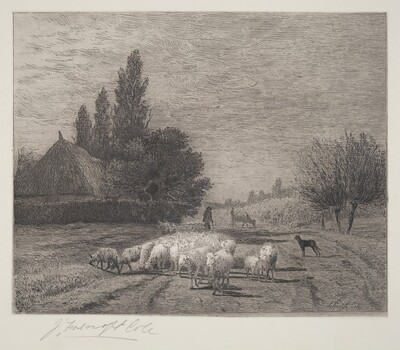 Village Street in France With a Flock of Sheep