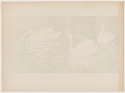 Les cygnes