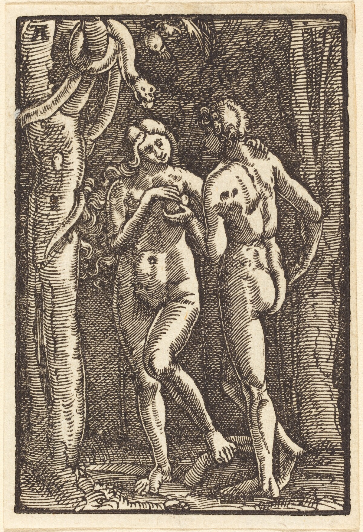 The Fall of Man by Albrecht Altdorfer