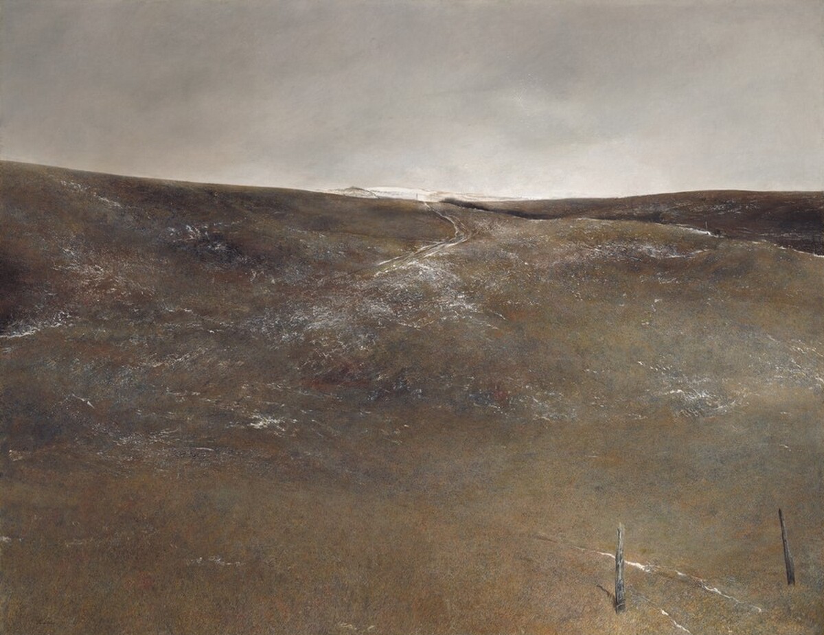 Snow Flurries by Andrew Wyeth