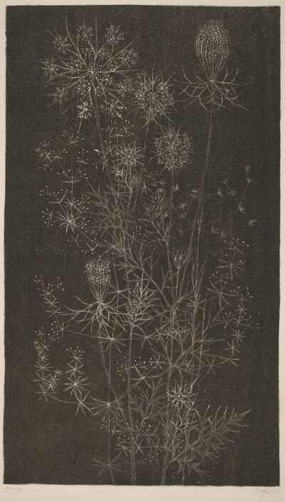 Flowers and Grasses