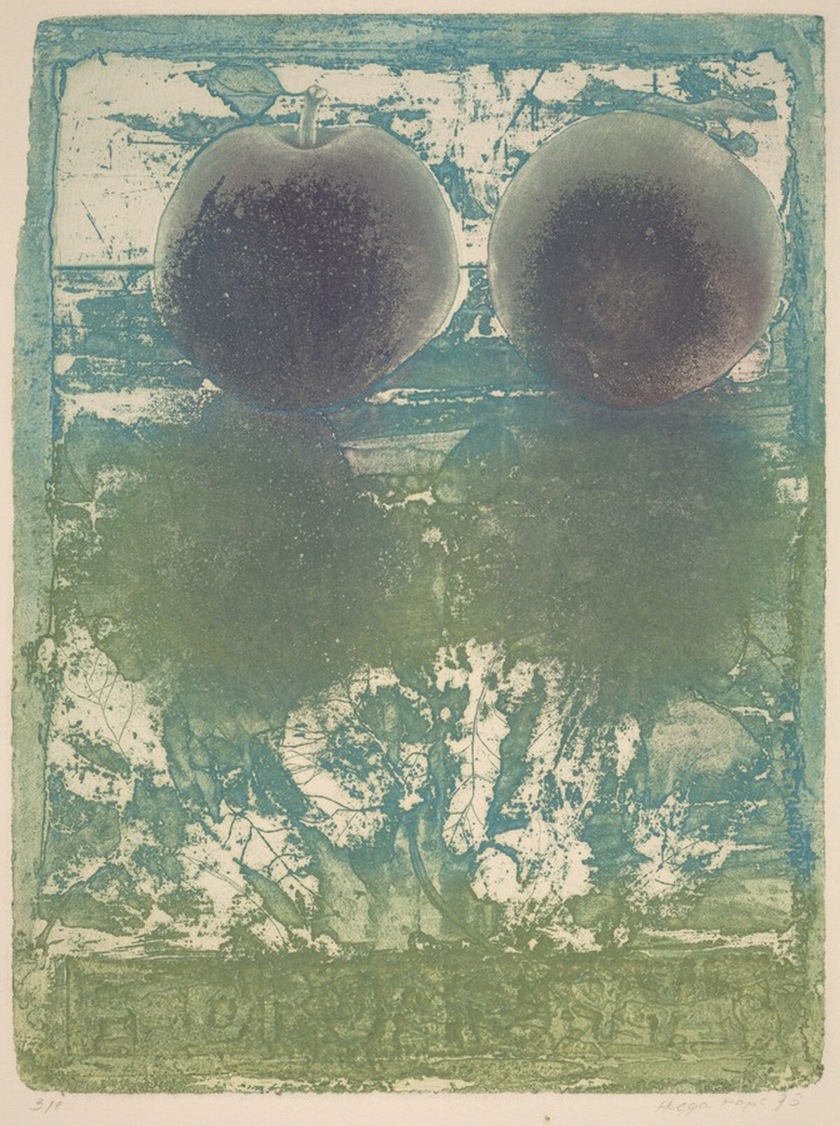 Two Apples by Helga Pape