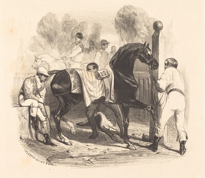 Horse before the Race