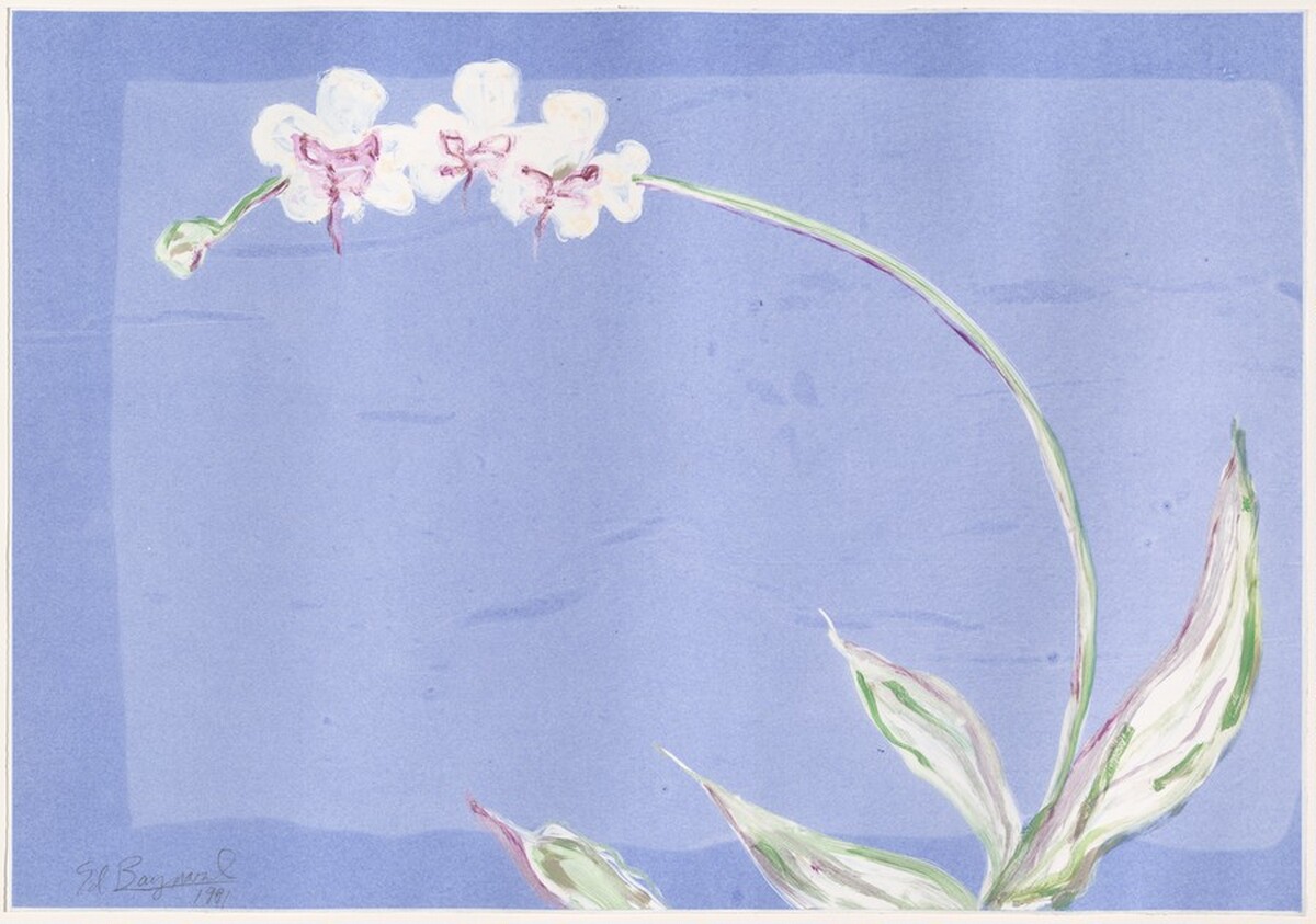 Untitled [flower] by Ed Baynard