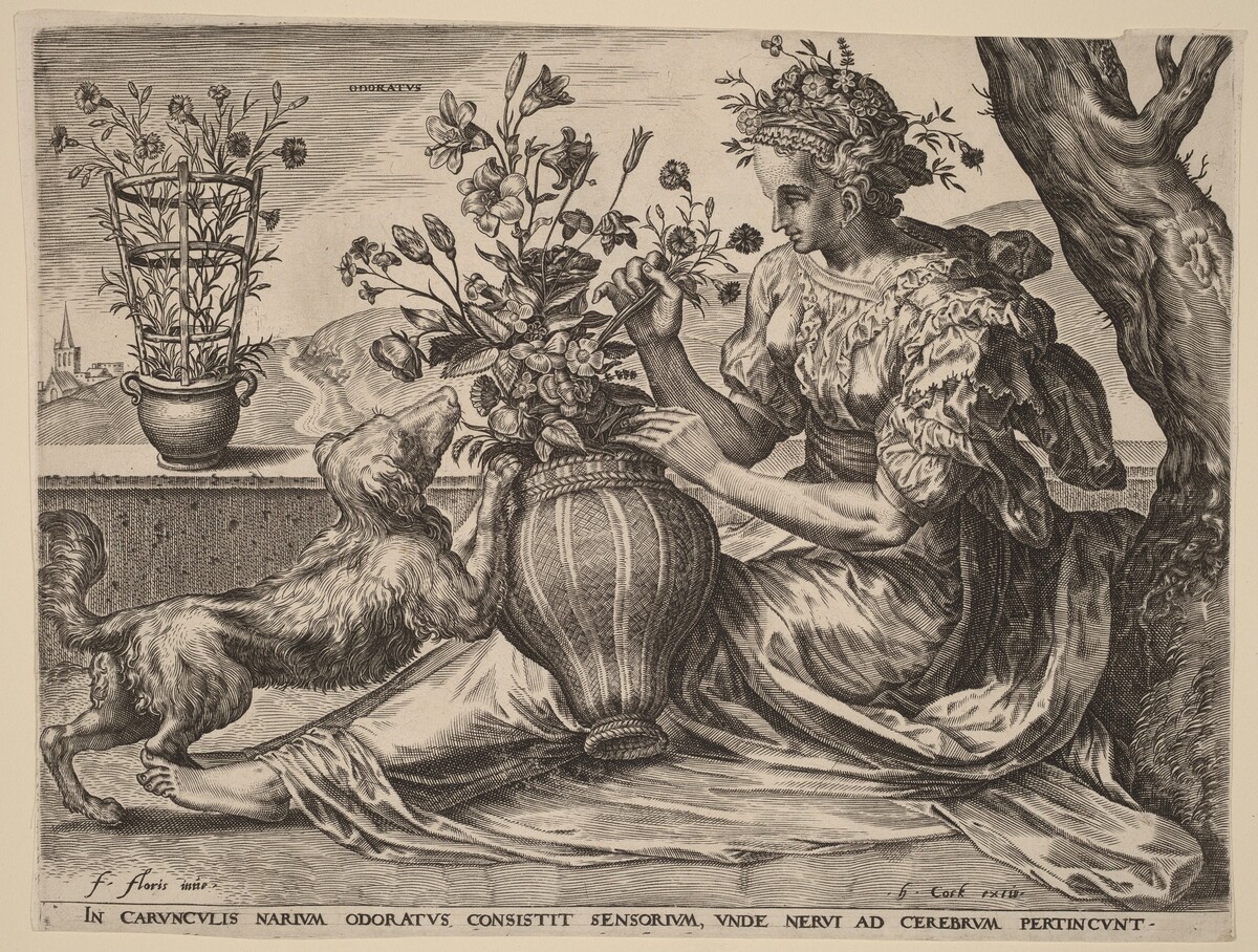 Odoratus (Smell) by Cornelis Cort after Frans Floris I