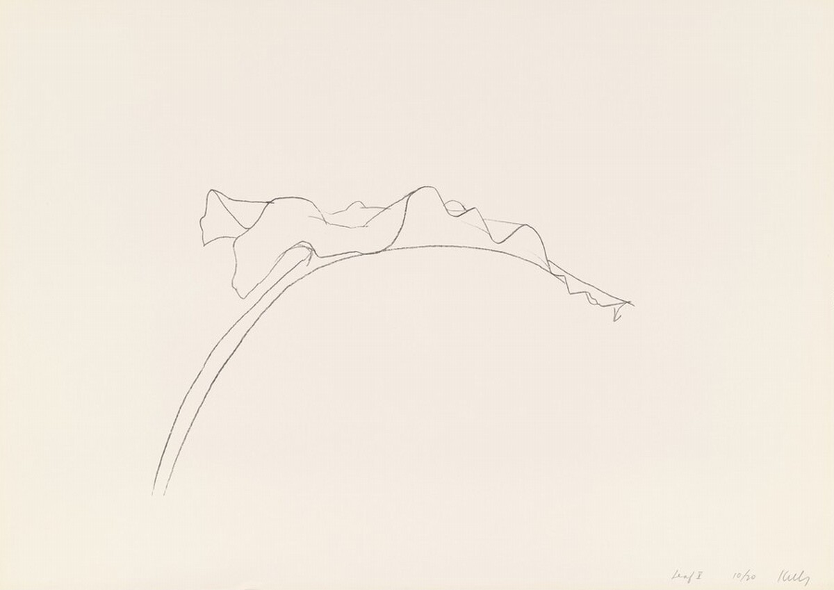 Leaf V by Ellsworth Kelly