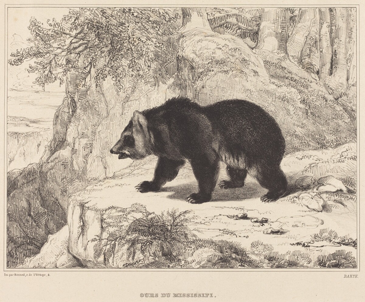 Mississippi Bear by Antoine-Louis Barye