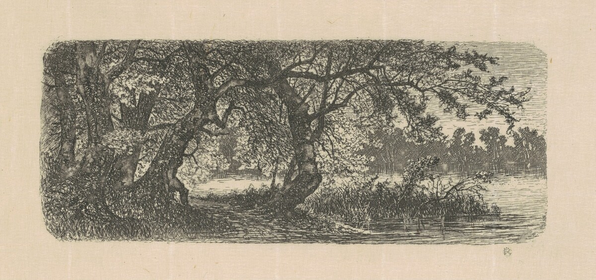 Water Elms by Carl C. Brenner