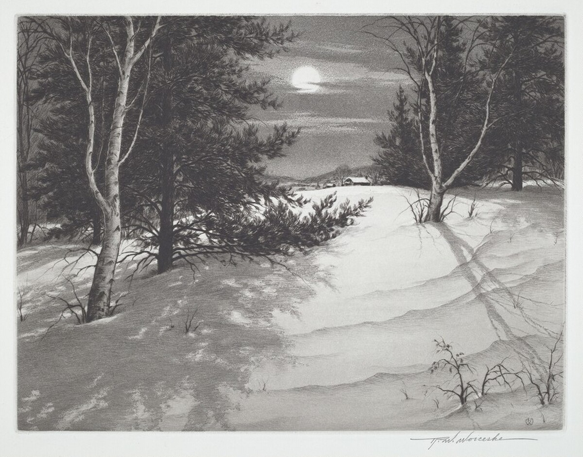 Moon Shadows by Ronau William Woiceske