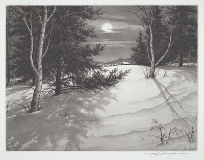 Moon Shadows