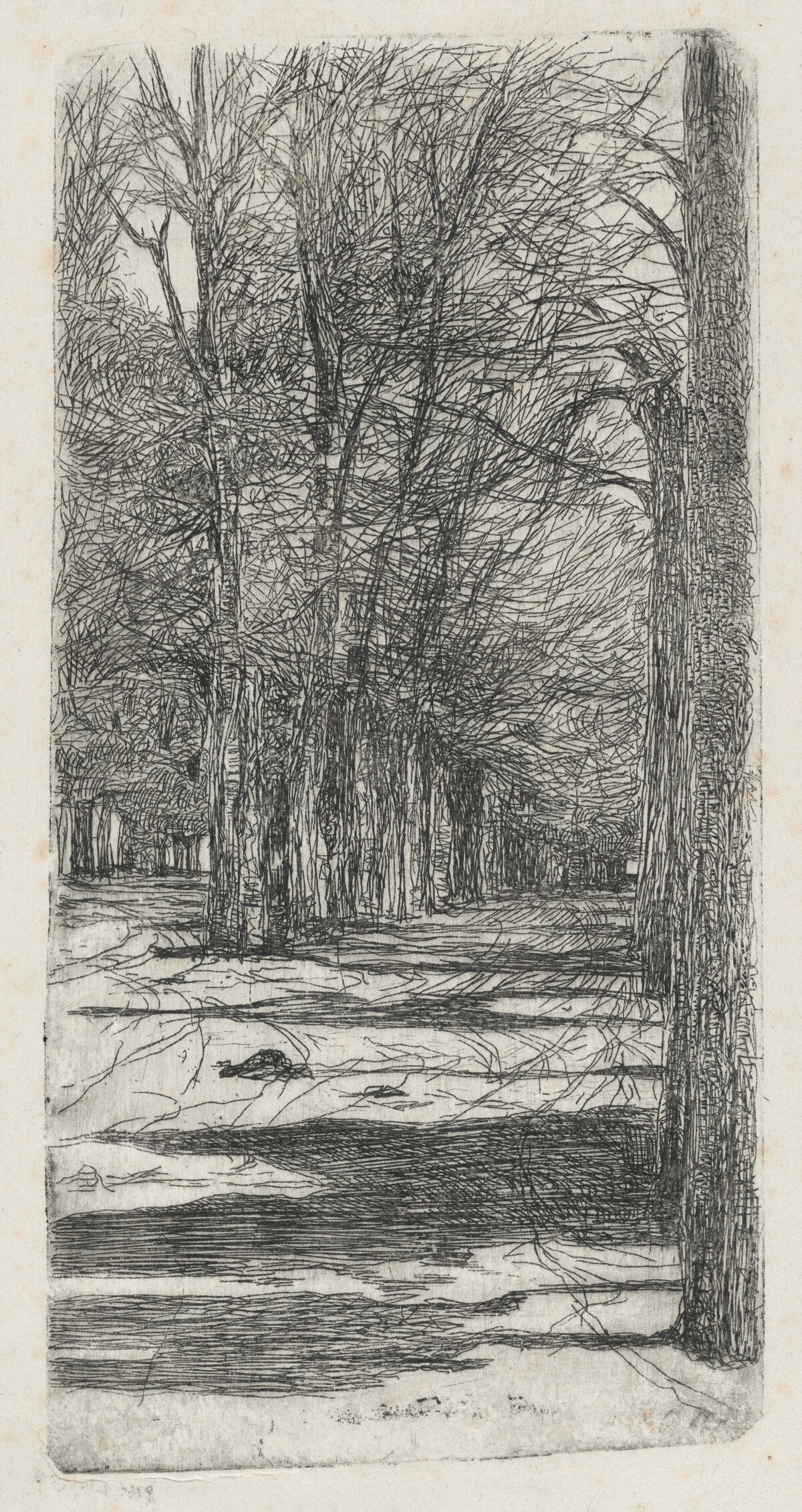 Path in Parco delle Cascine (Un viale interno delle Cascine) by Giovanni Fattori