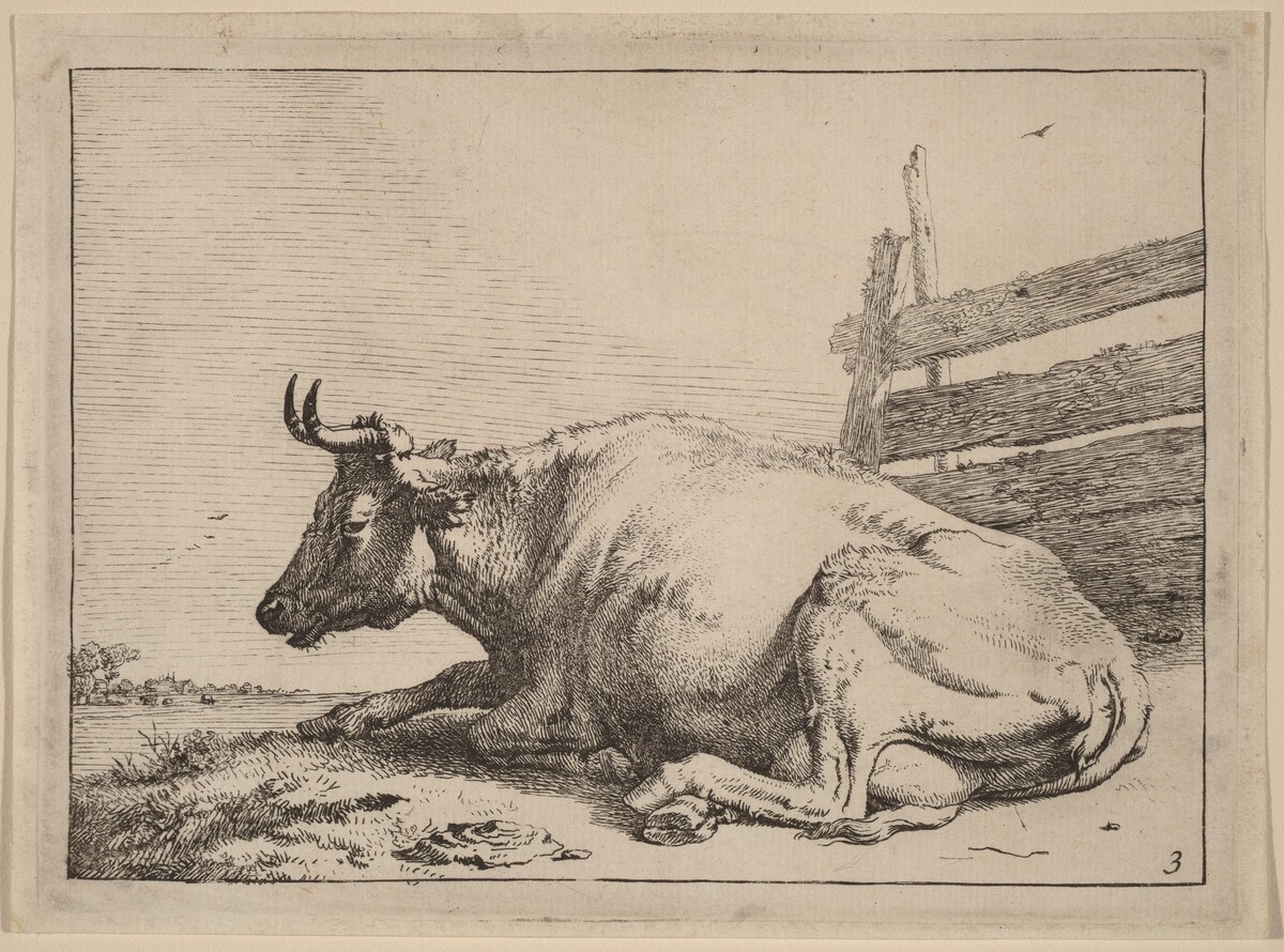 Cow Lying Down near a Fence by Paulus Potter