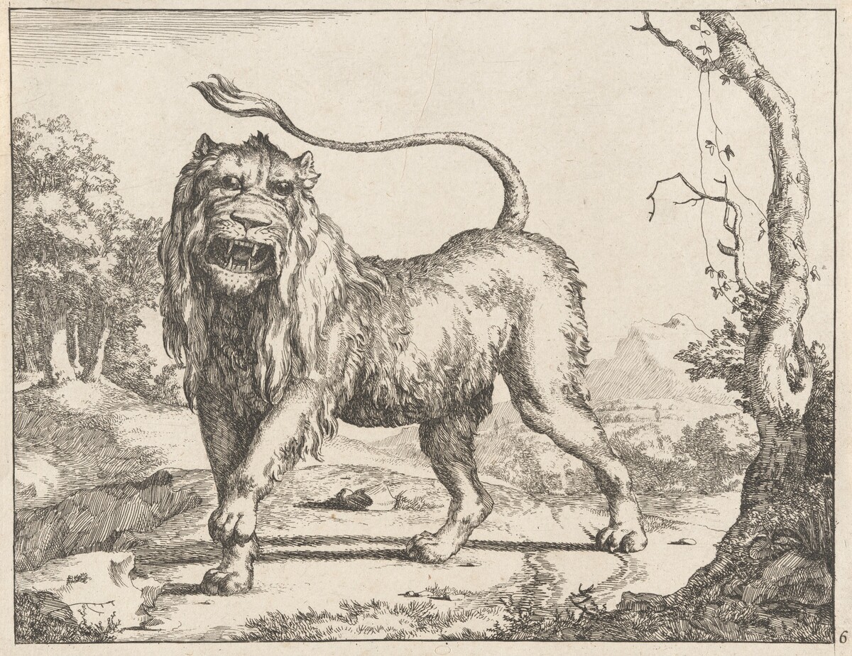 Lion by Marcus de Bye, after Paulus Potter