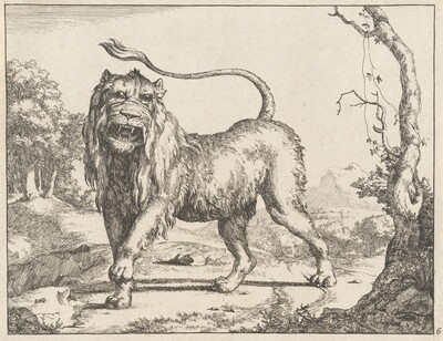 Lion