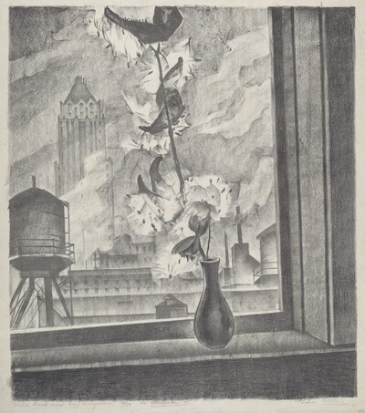 Milkweed and Skyscrapers