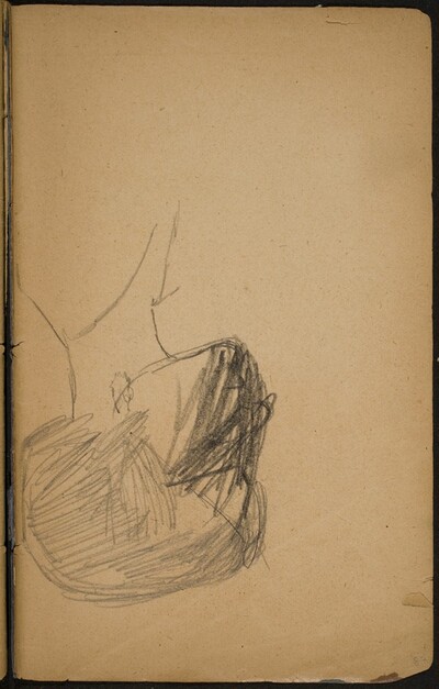 weibliches Profil, Gesicht verworfen (Woman's Profile) [p. 87]