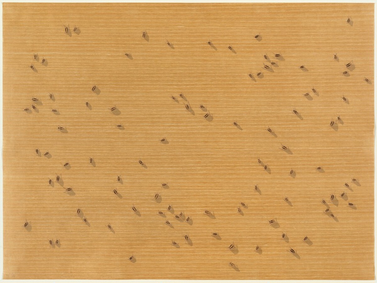 Cockroaches by Ed Ruscha
