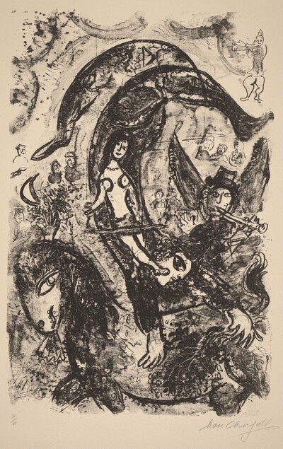 The Acrobat Rider