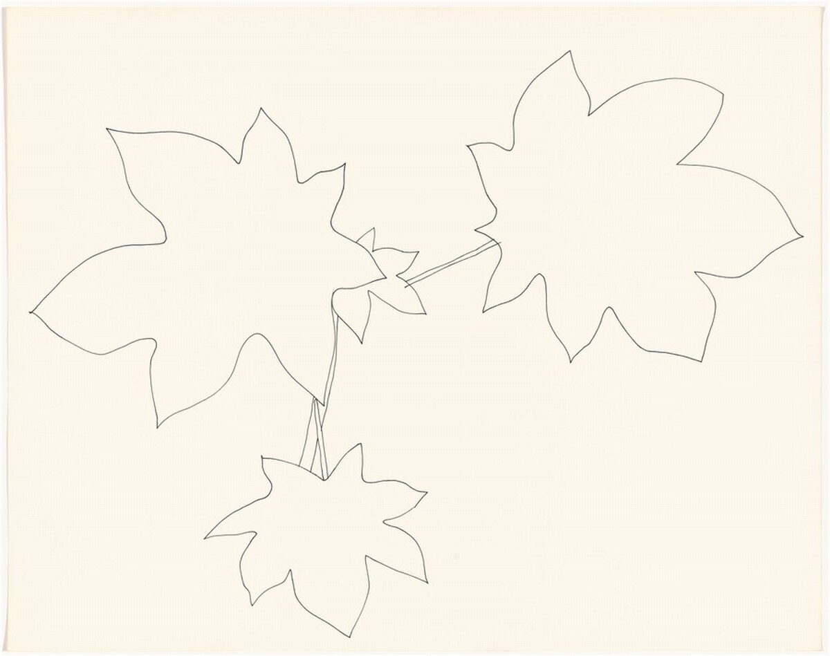 Castor Bean by Ellsworth Kelly