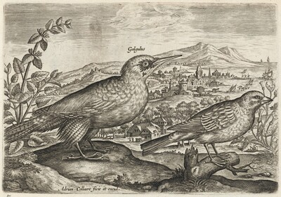 Woodpecker and Bunting
