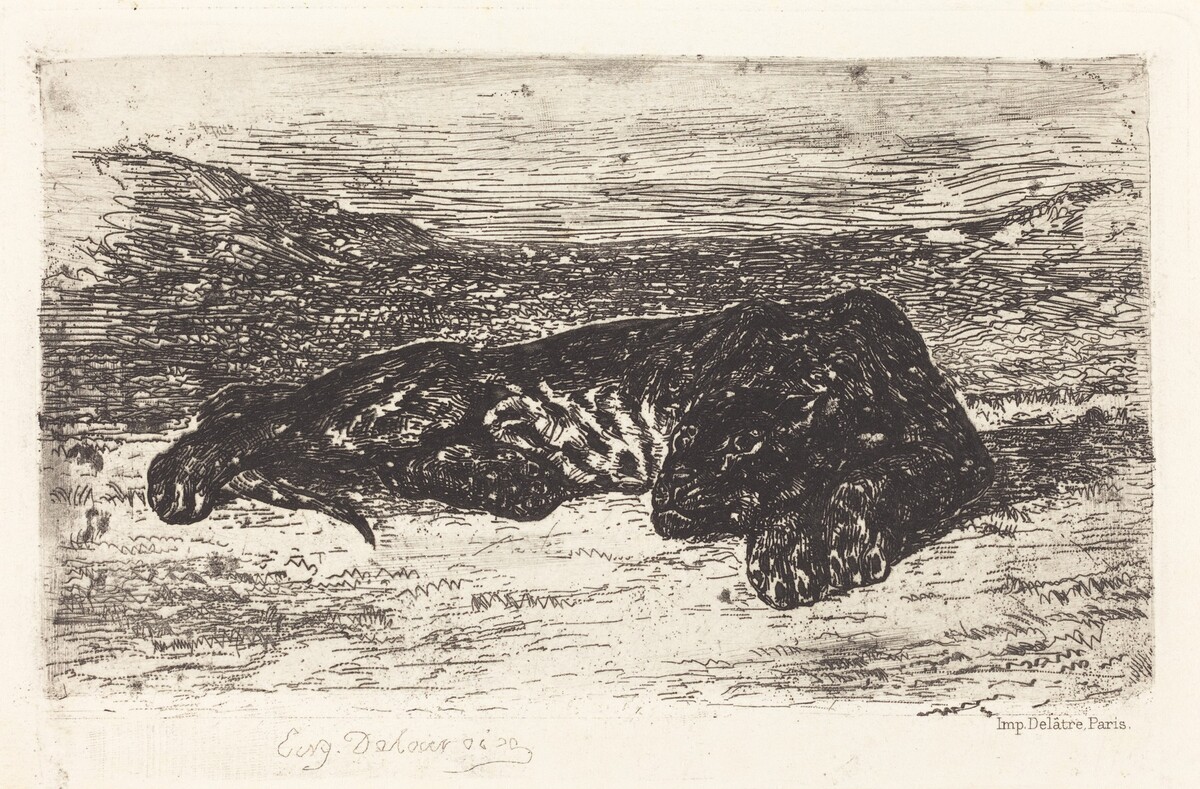 Tiger Sleeping in the Desert by Eugène Delacroix