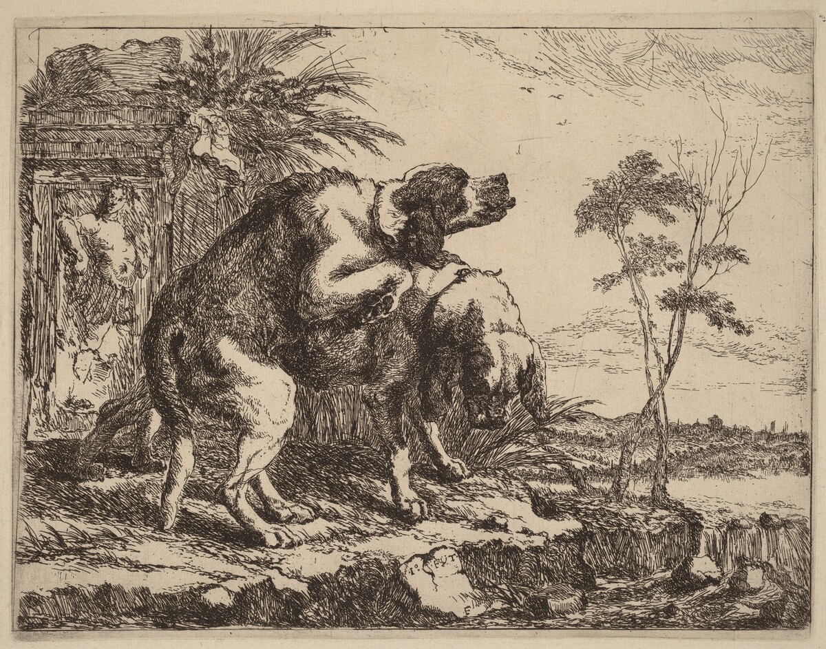 Two Dogs Copulating by Jan Fyt